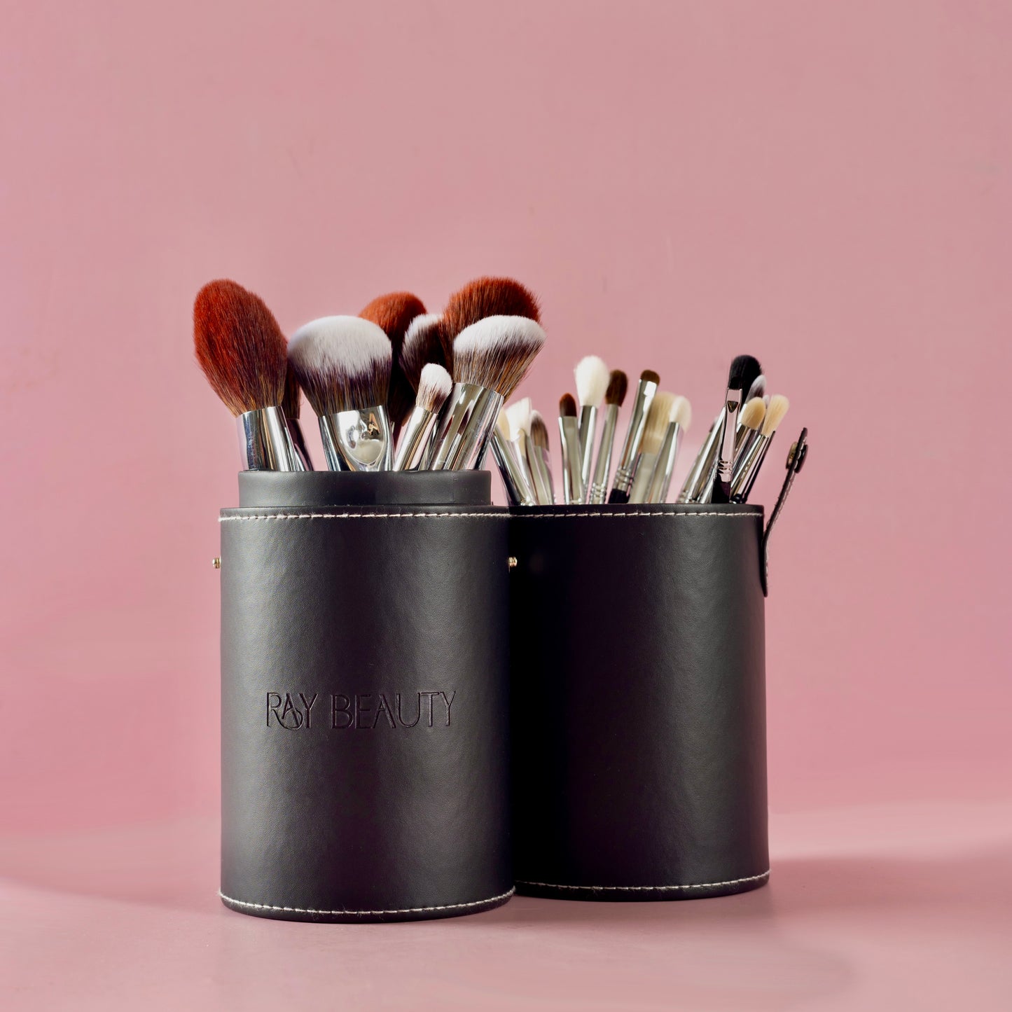 Ray Beauty 29 Pcs Luxe Edition Professional Brush set
